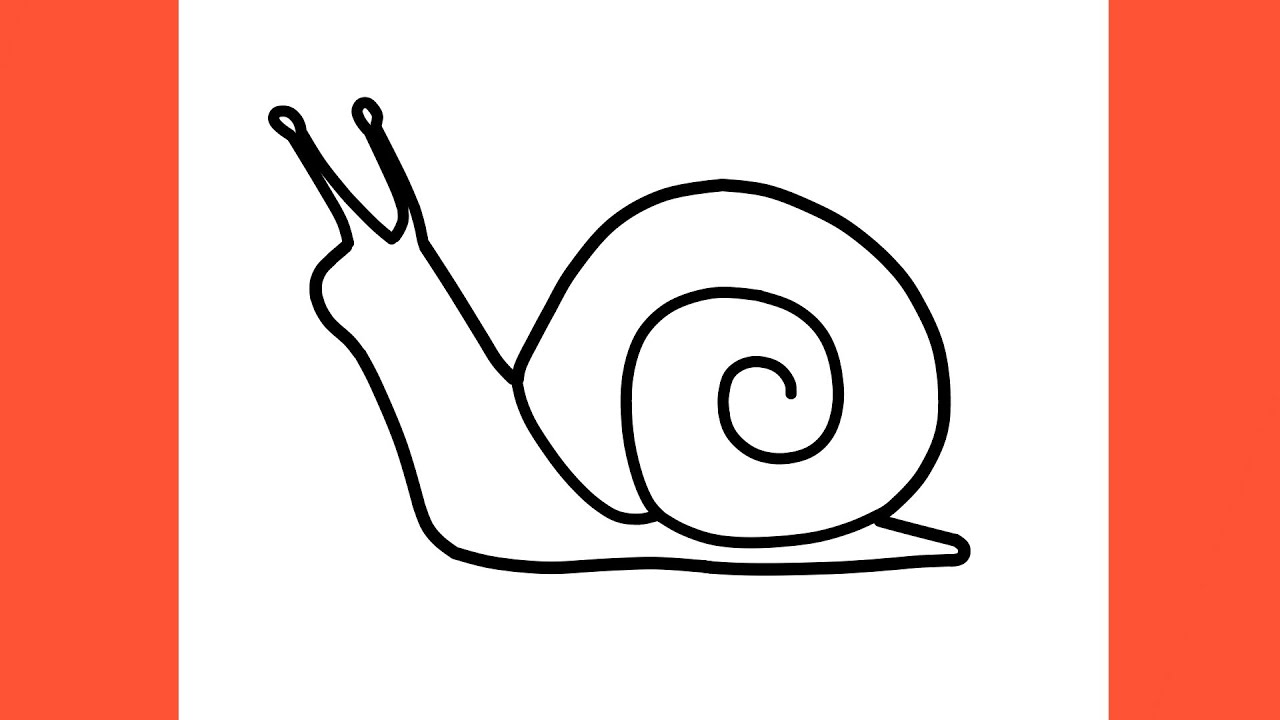 How to draw a SNAIL step by step / drawing snail easy