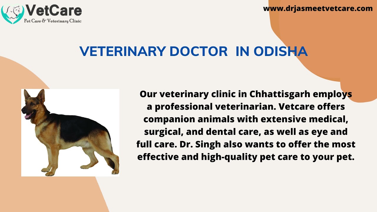 veterinary doctor in Odisha