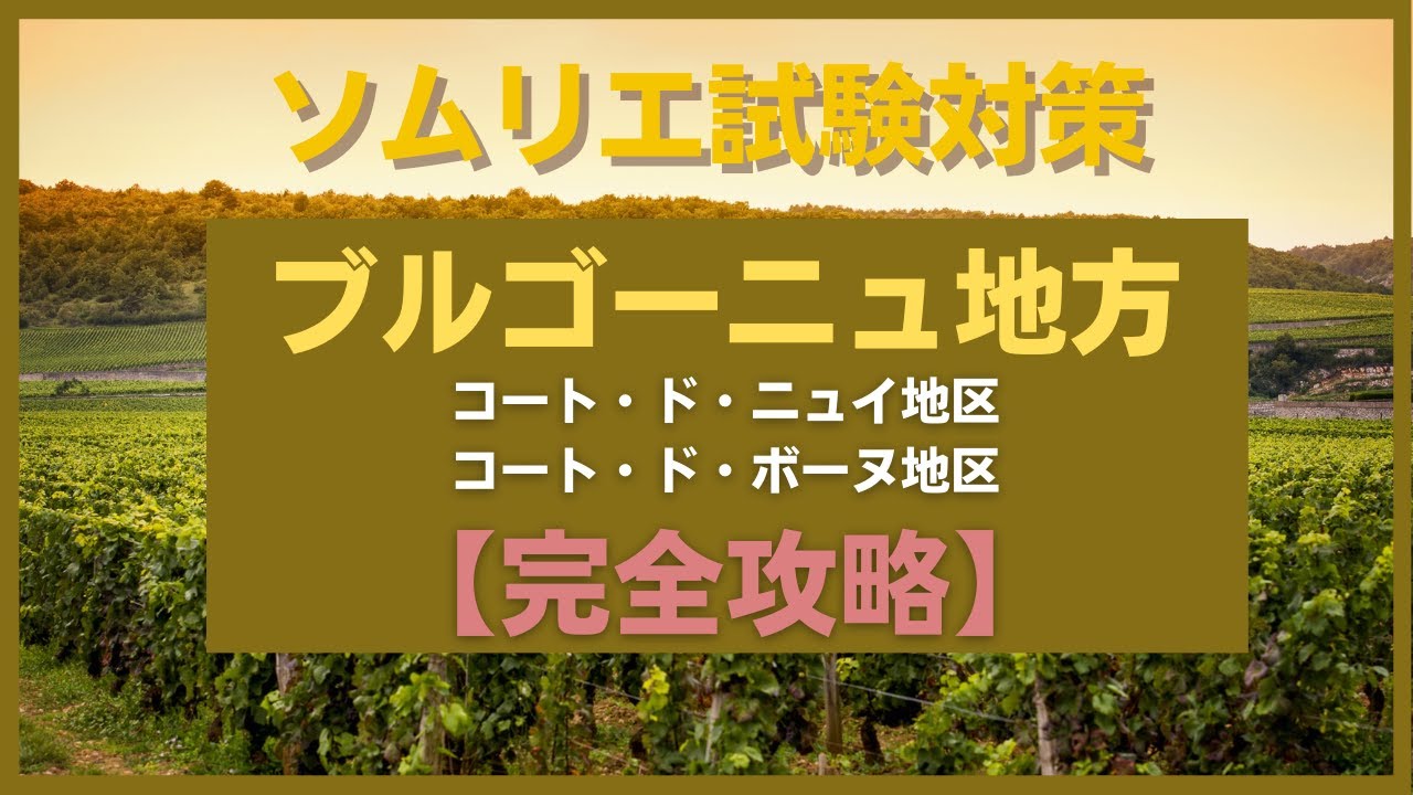 #9【2023年】コート・ド・ニュイ地区＆コート・ド・ボーヌ地区　ソムリエ試験対策　◆独学
