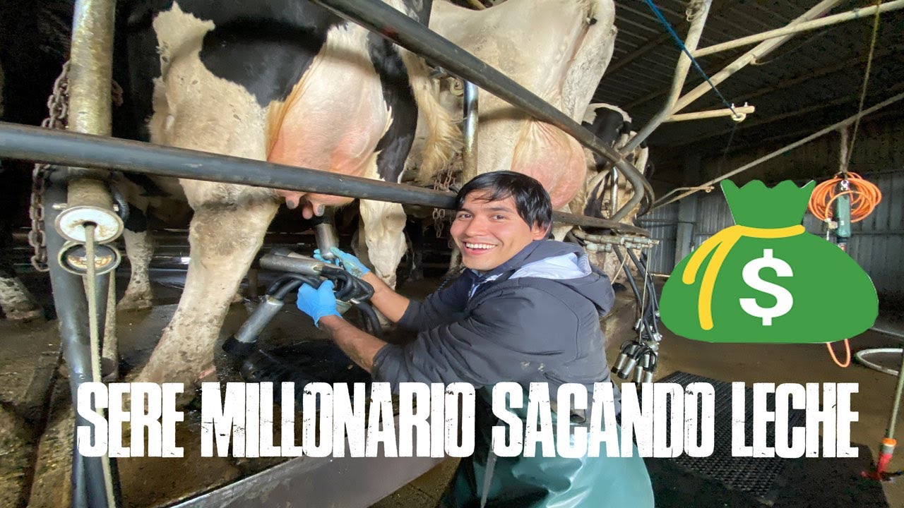 Gano más que un GERENTE trabajando aquí en granja Australiana ! /Work and holiday visa 🇦🇺
