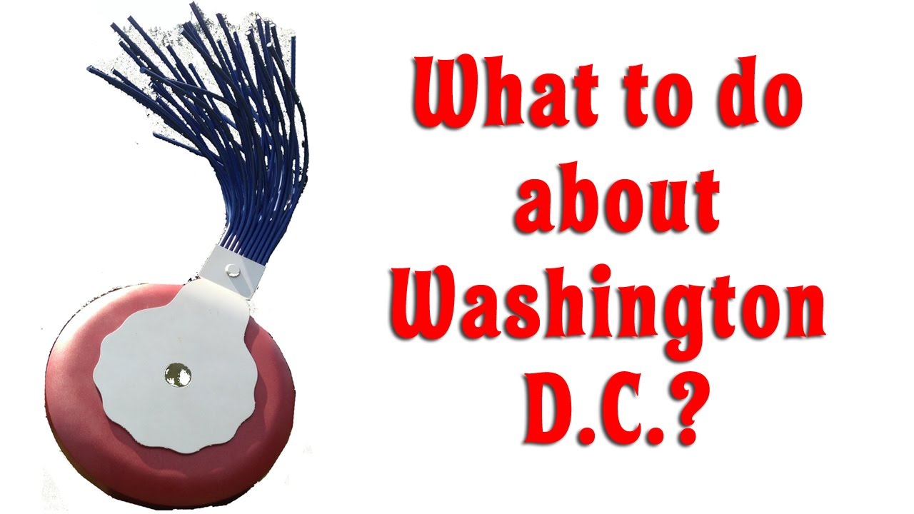 Big Mistake in DC! Funny Vacation Ideas Roadside Attraction Road Trip with Cherry Capri