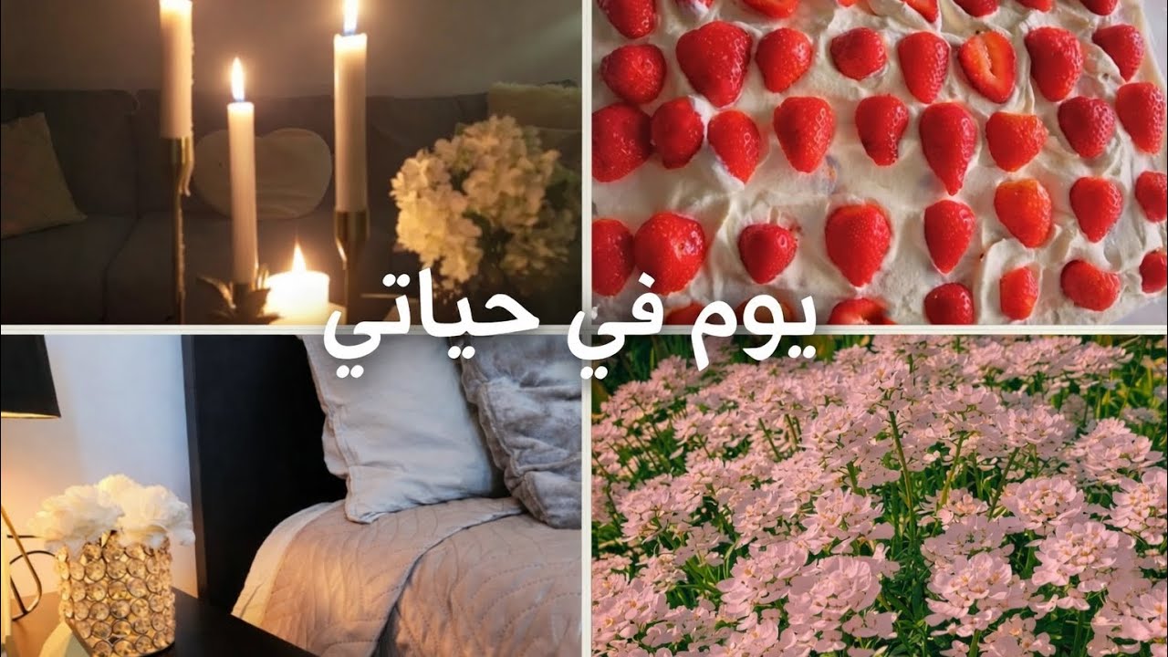 يوم من حياتي في السويد/تسوق البقالة/ طبخ سهل وسريع