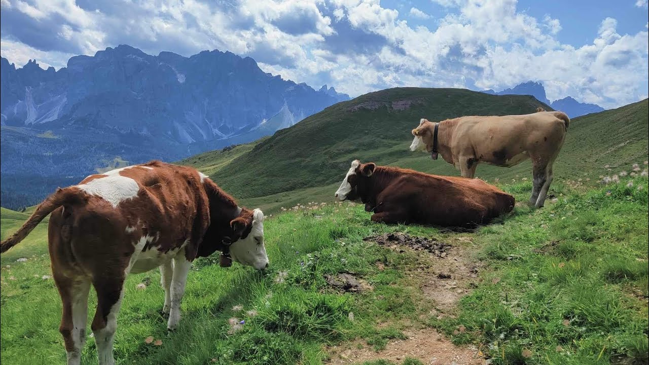 Stoneman-trail (best parts of it), Dolomites, Italy