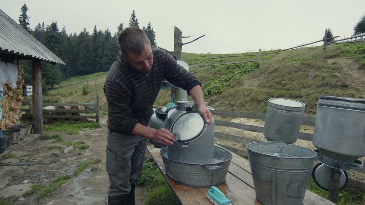 Making cheese high in the mountains according to an old recipe