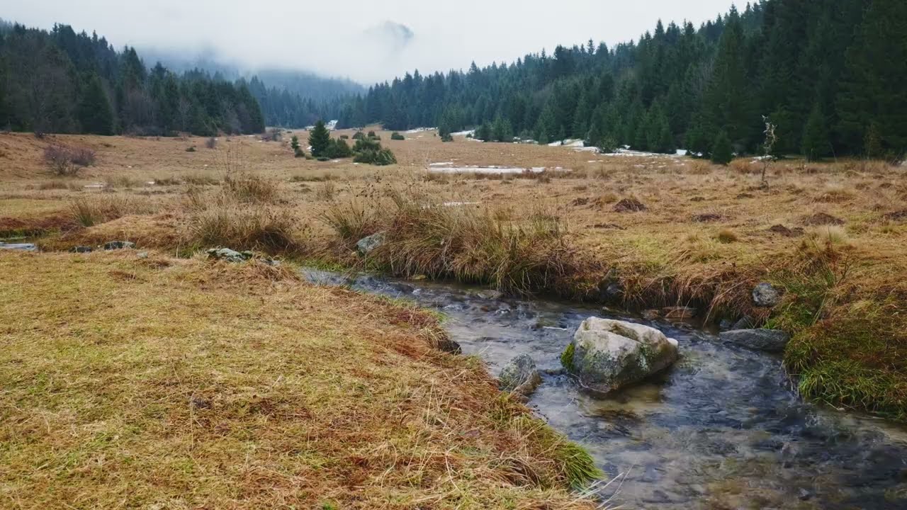 4K 60fps Meandering Mountain Stream – 3 Hours of Gentle Water Flow & Distant Birdsong