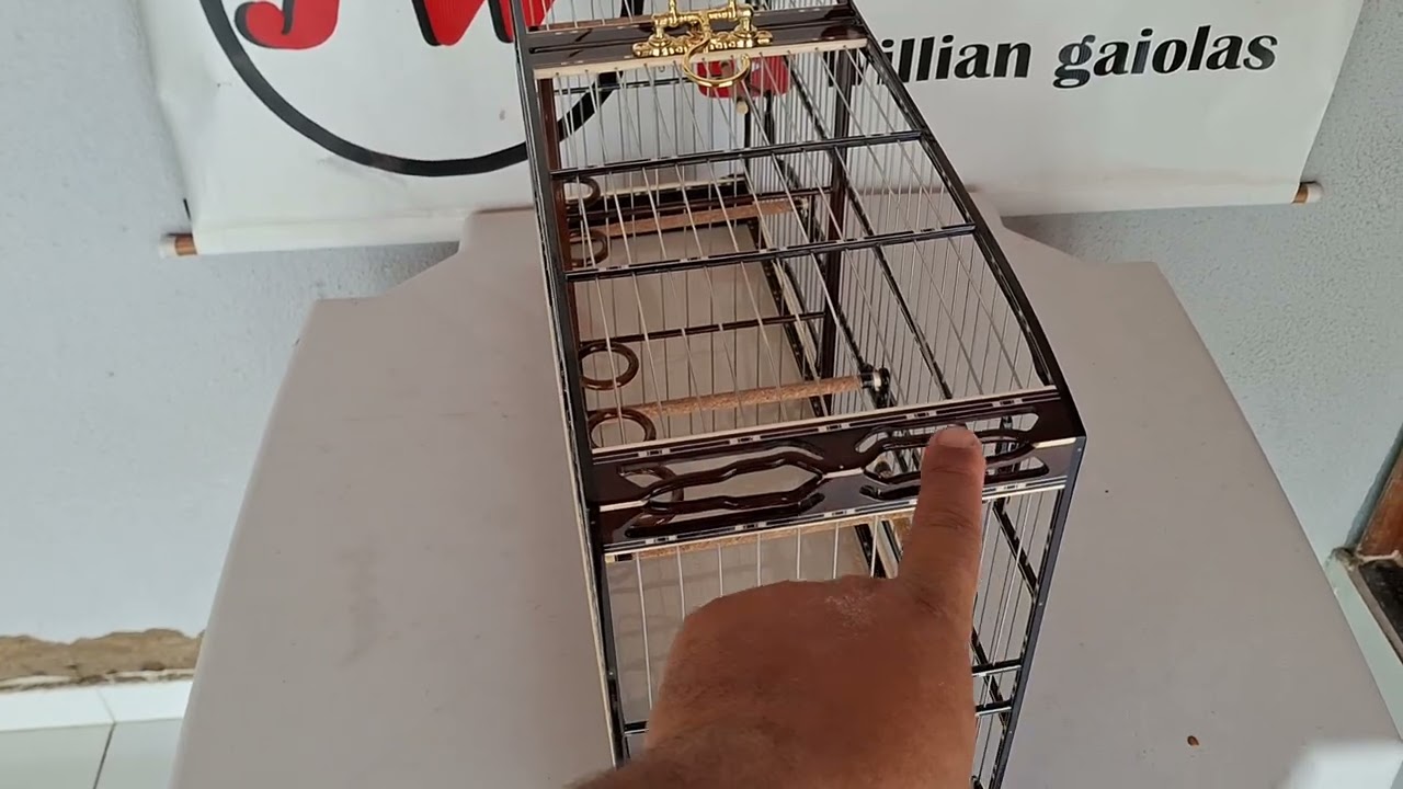 William Gaiolas Mostrando Gaiola de Luxo De Coleiro e Papacapim e Voador Muito Top