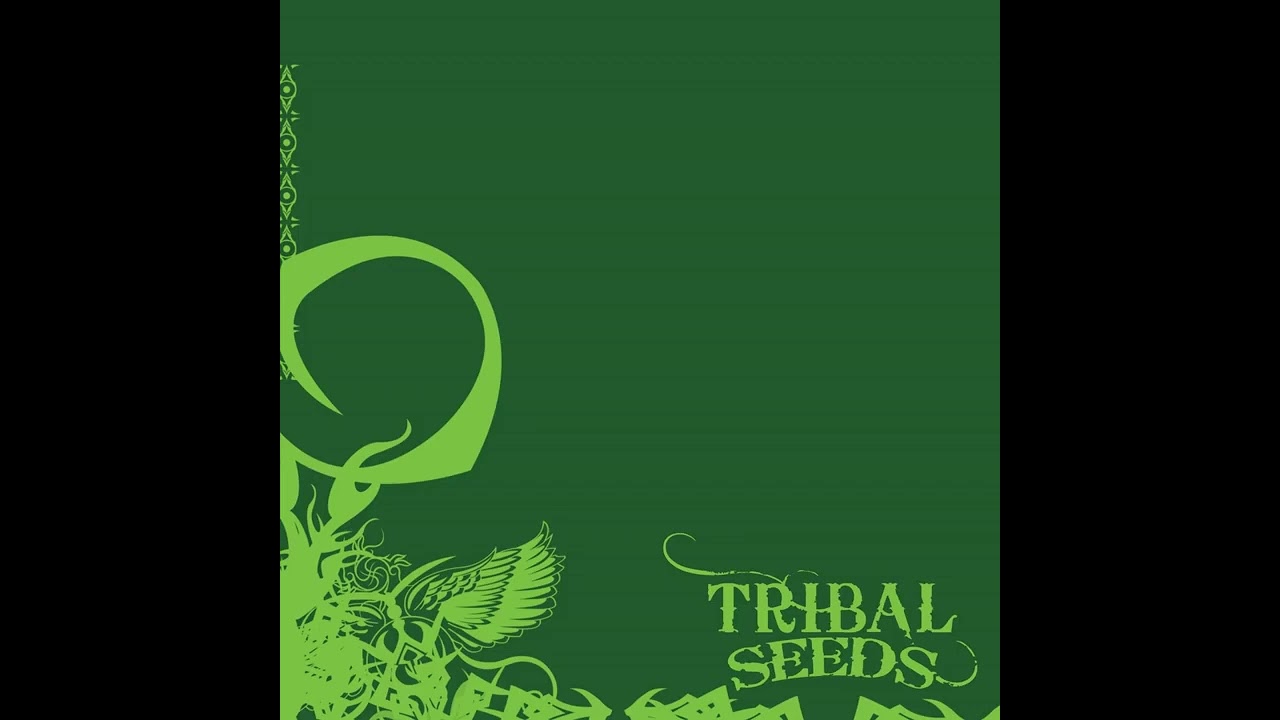 Tribal Seeds - Dark Angel