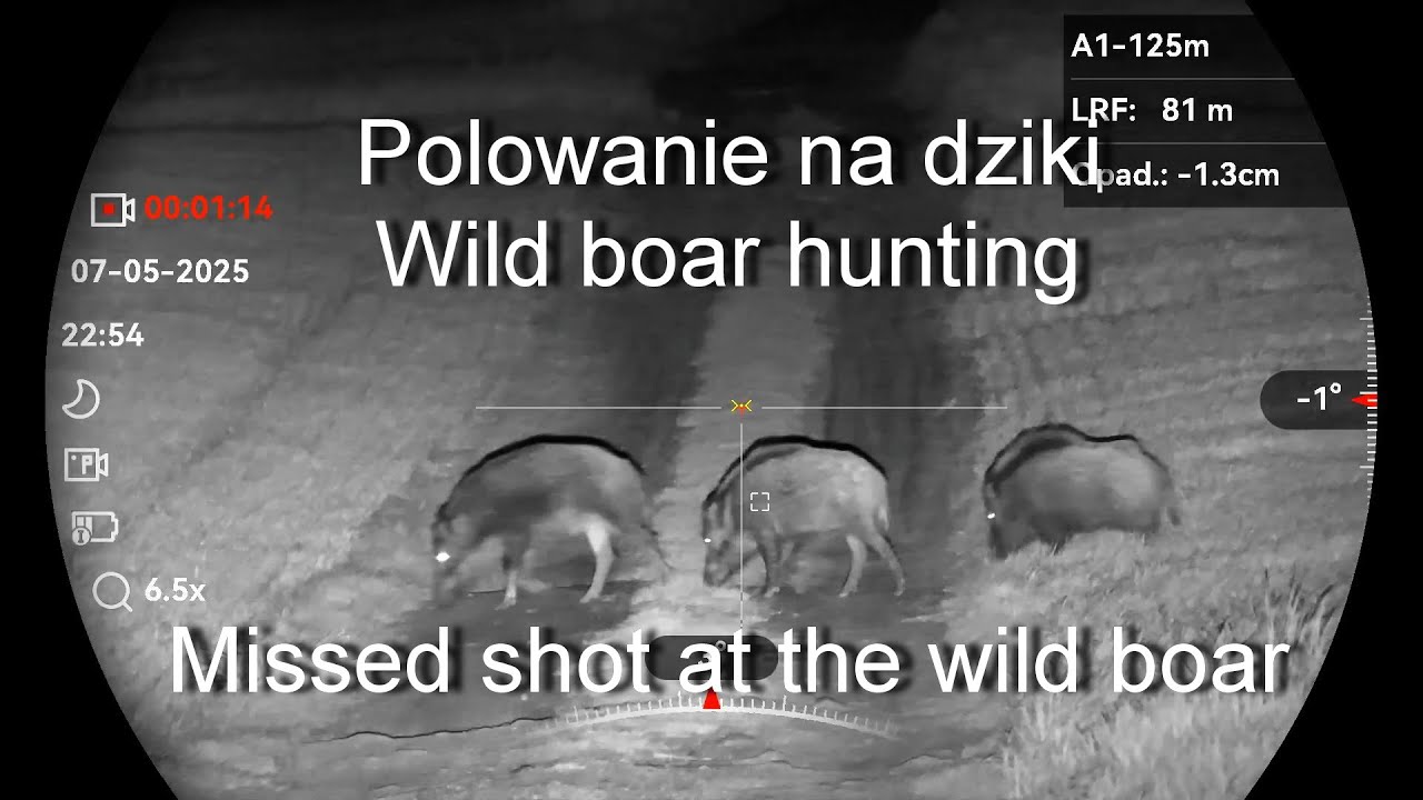 #78 Pudło do dzika. Missed shots at the wild boar. Sako S20 Huntung | HIKMICRO Alpex 4K #nightvision