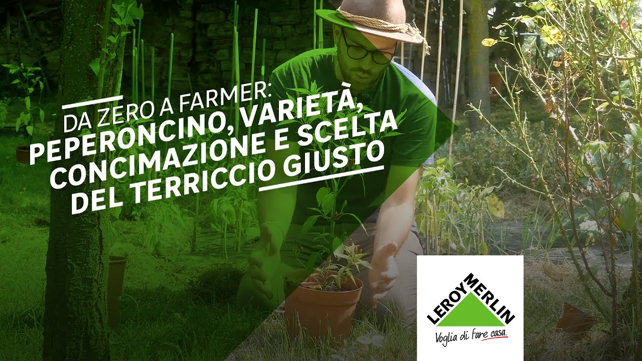 Da Zero a Farmer: seminare peperoncino con terriccio | Leroy Merlin