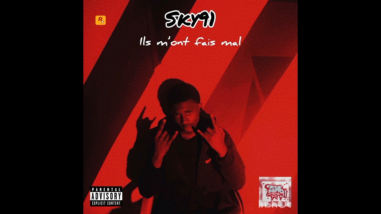 sky91_ils m'ont fais mal (official audio)