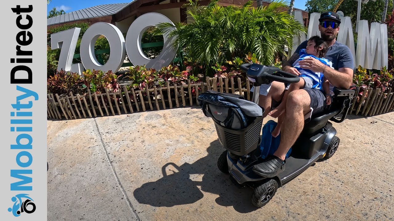 A Day At 🐼 The Zoo With A Mobility Scooter