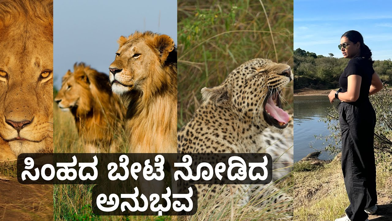 ಸಿಂಹದ ಬೇಟೆ ನೋಡಿದ ಅನುಭವ || Maasai Mara || Kenya || Anupama Anandkumar