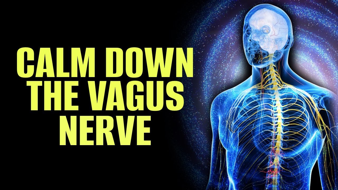 Calm Down The Vagus Nerve | Release Trauma Stored In The Body | Relief Pain Boost Body's Health