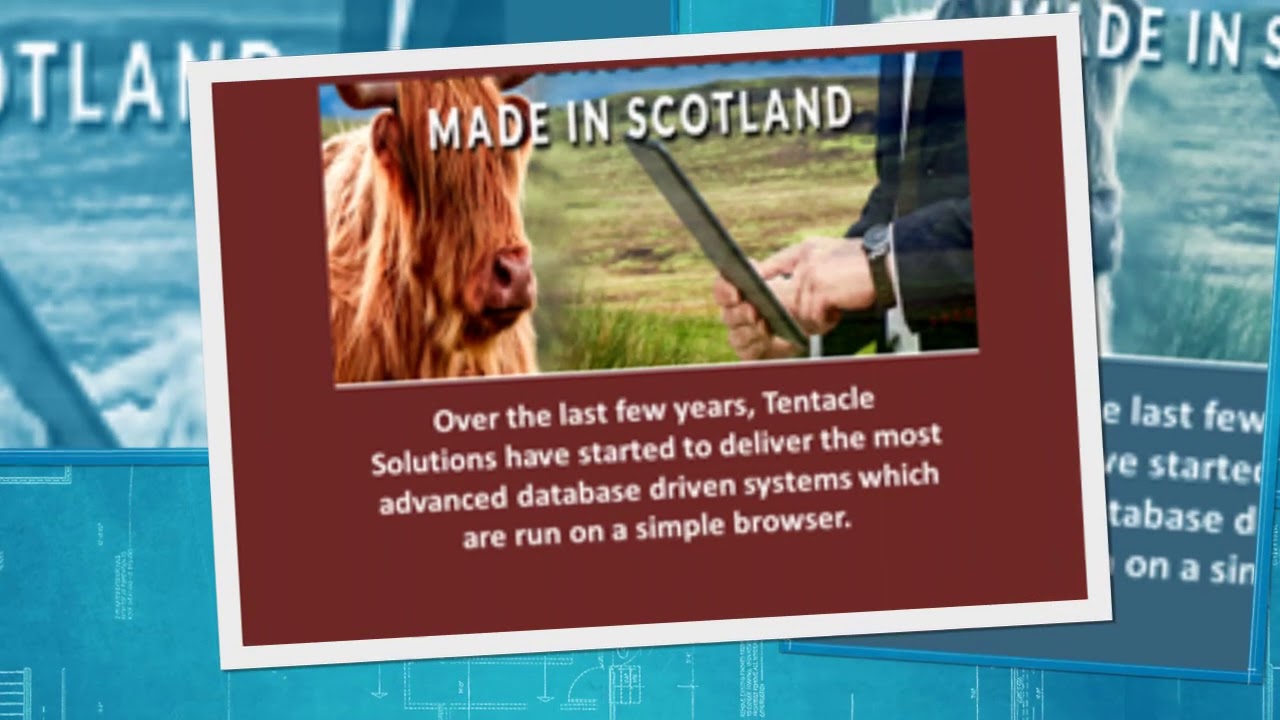 Deal with the best bespoke software development company Glasgow