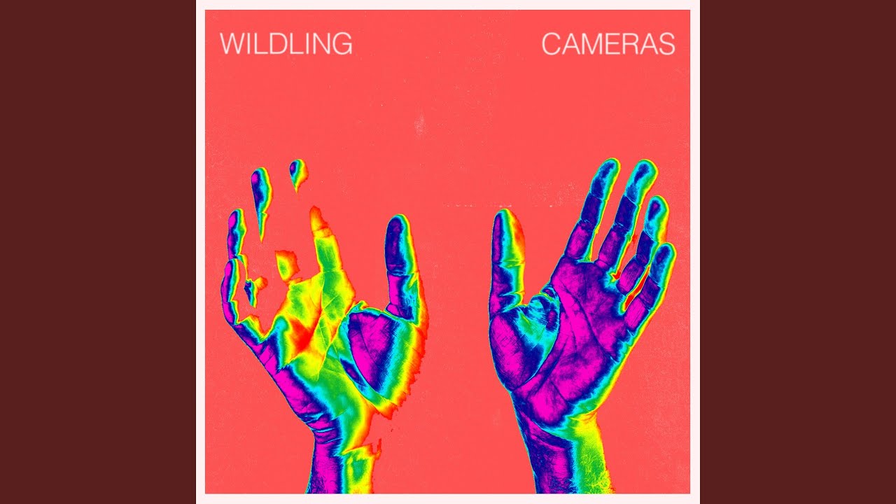 Cameras
