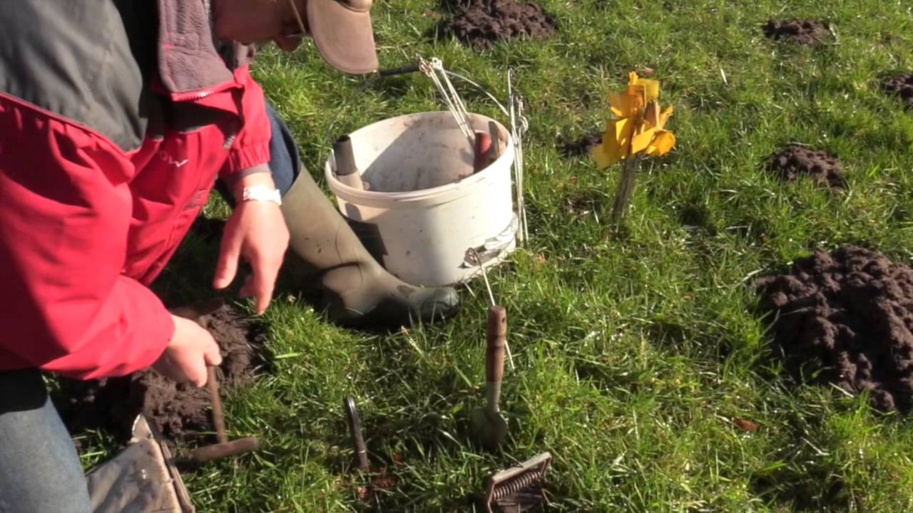 Mollenvanger in de regio Wassenaar-Leidschendam-Voorburg en Stompwijk (Trébol producties).