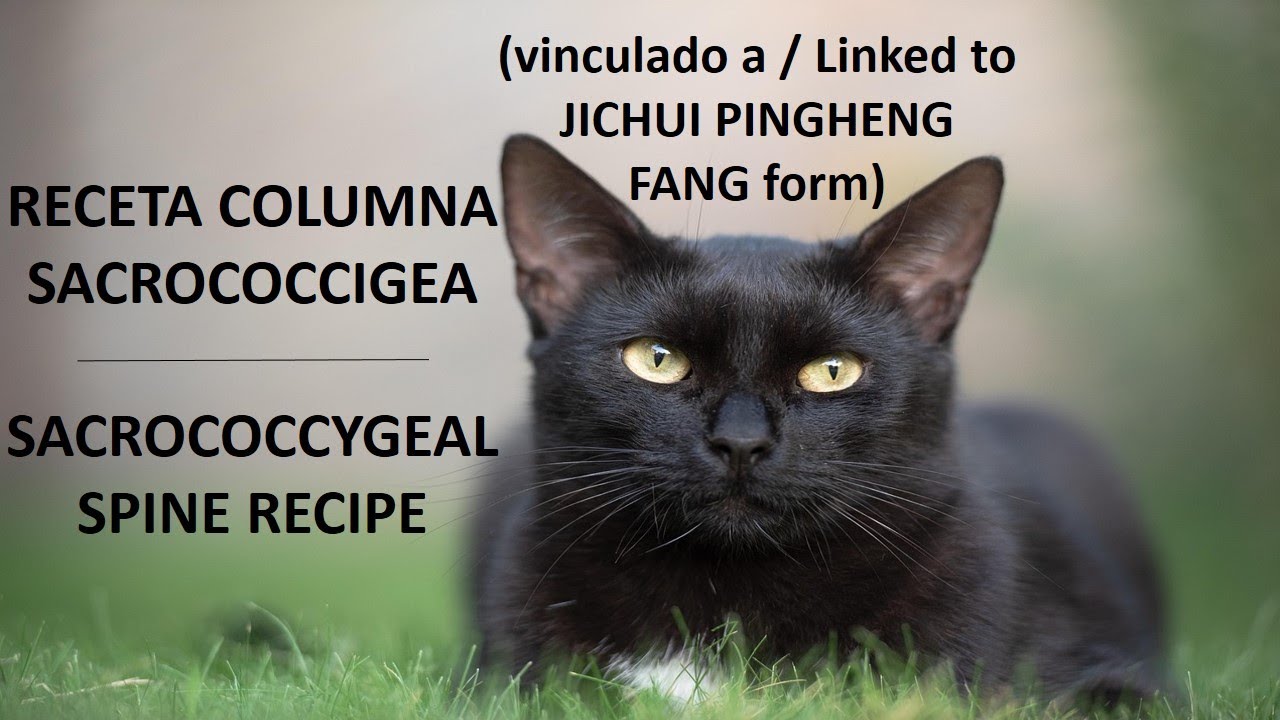 80.- Receta columna sacrococcígea / Sacrococcygeal spine recipe (linked to Jichui Pingheng Fang)