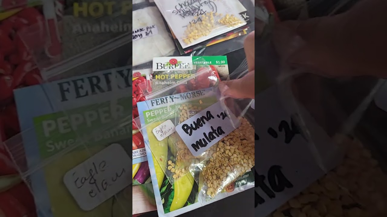 Peppers I'll Be Planting In 2026 | Hot & Sweet Peppers | Zone 5B