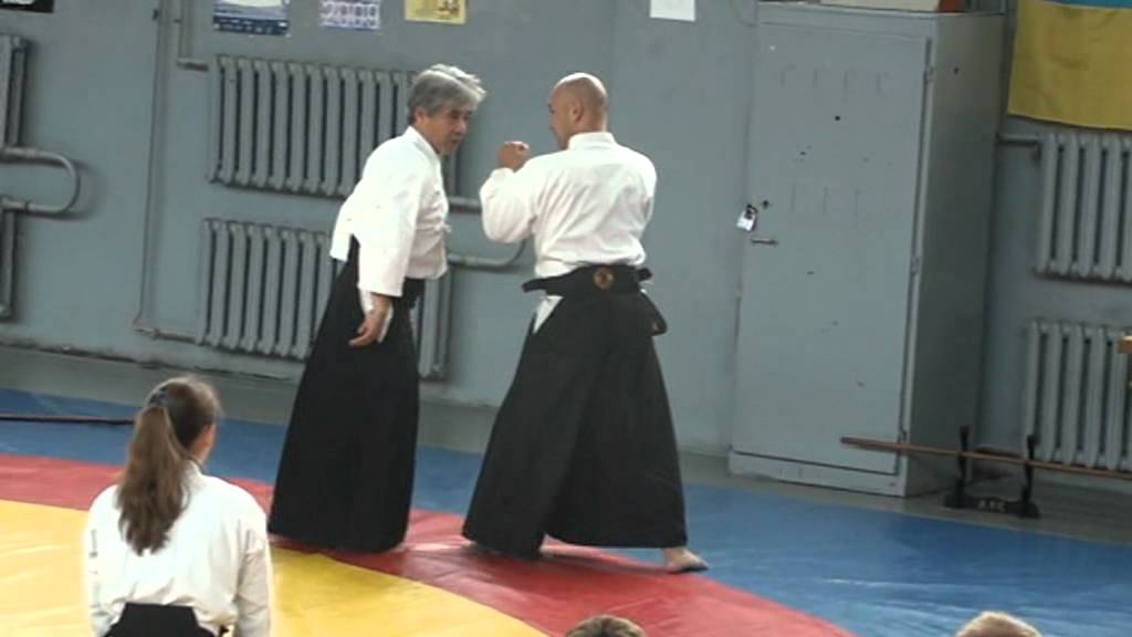 Aikido and Toho Iaido - Iriminage