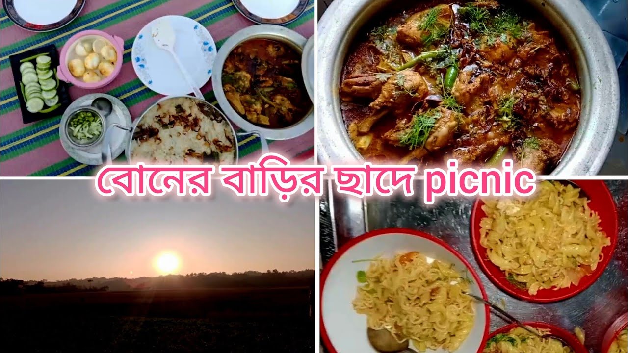 বোনের বাড়িতে কাটানো আরও একটা দিন ও ছাদে picnic এর আয়োজন।Asma's lifestyle.#viral
