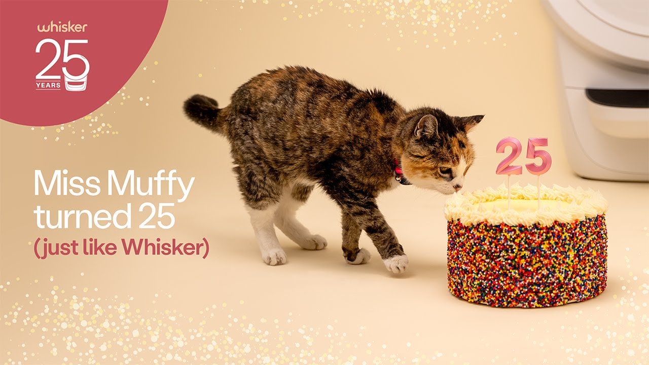 Happy Birthday Miss Muffy | Celebrating 25 Years of Whisker and Litter-Robot!