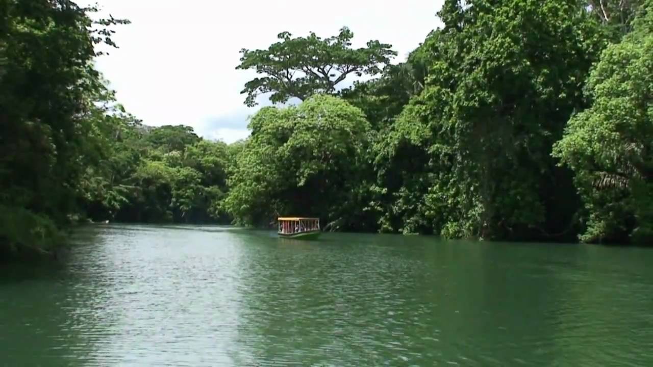 Jungle Land Panama Tour - HD Best Eco Day Tour on the Panama Canal