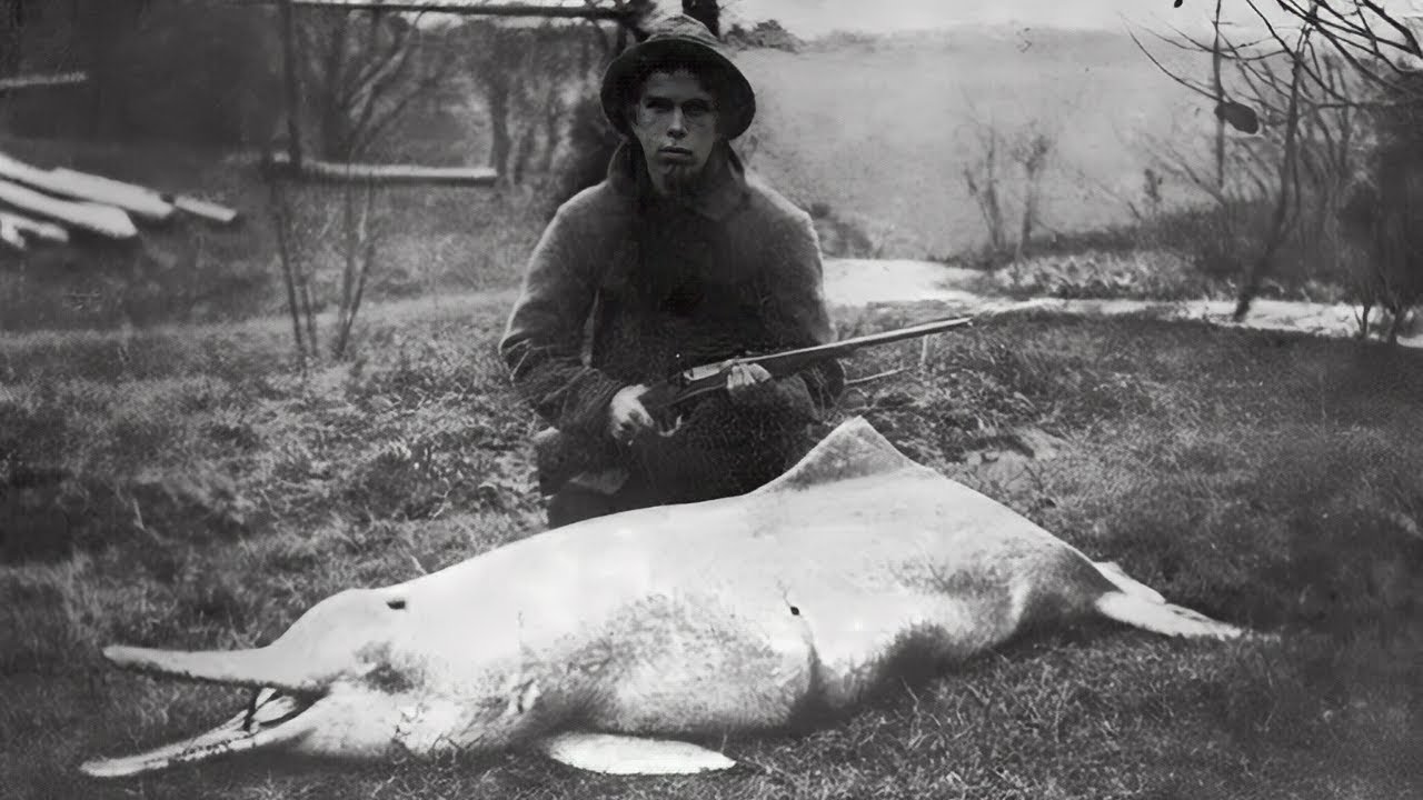 20 последних известных фотографий вымерших животных