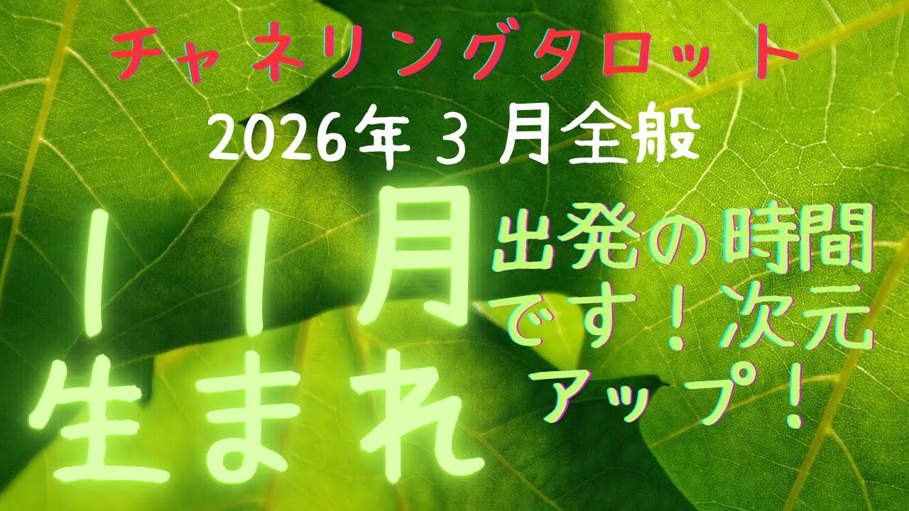 １１月生まれの方のタロットリーディング☀️学びの終了！次のフェーズへ移行します🐎家族に感謝を🌈