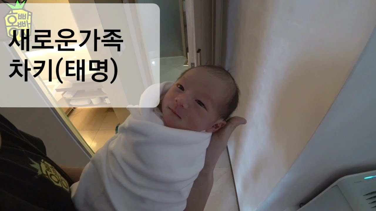 홍빠빠의 육아 - 새로운 가족을 만나다