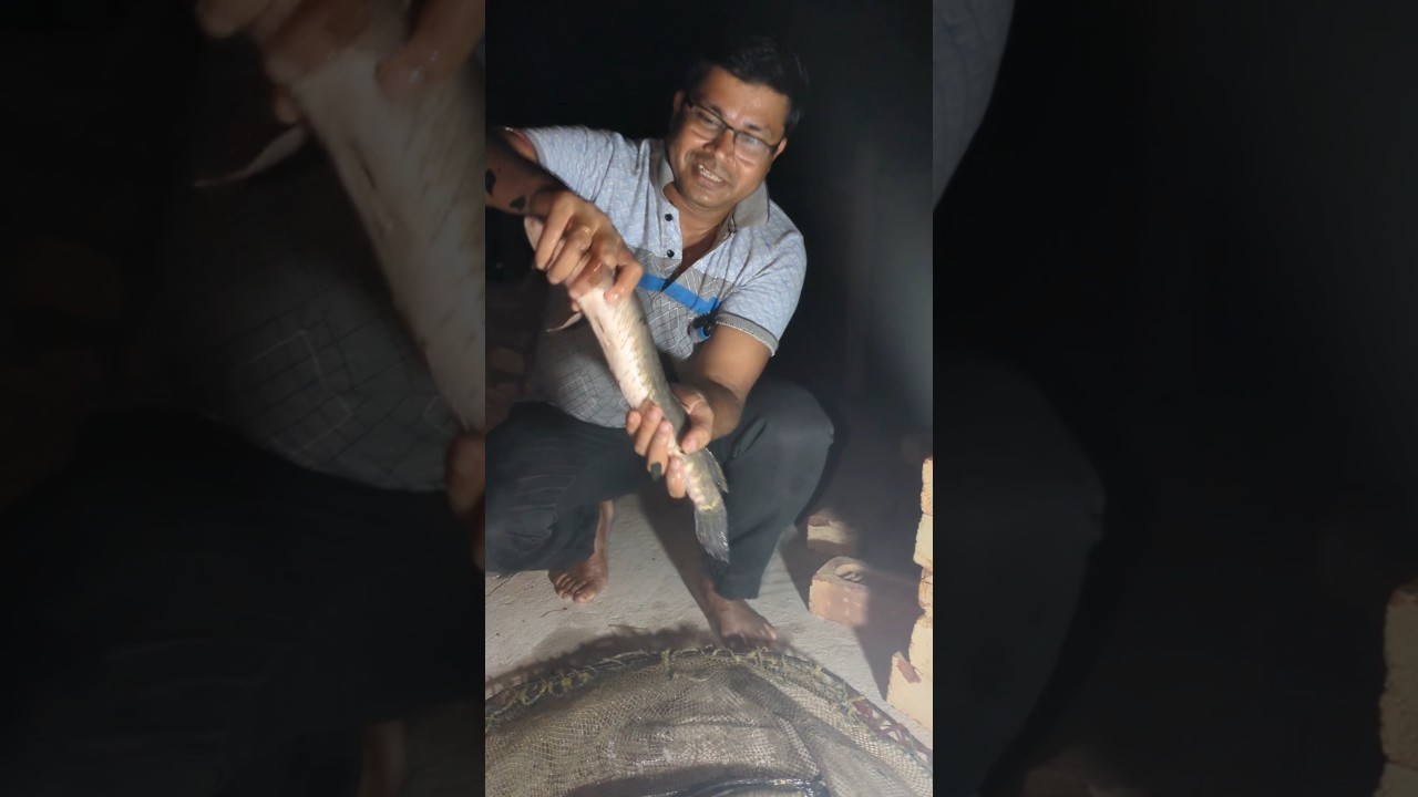 WHAT IS MURREL FISH #fish #murrel#ytshort #chefmahtab #cooking #recipe #chefraza #chef