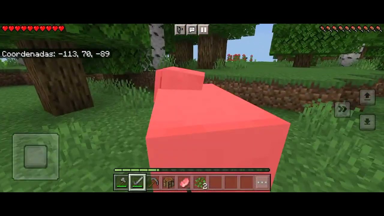 Inicio ,supervivencia ciclo 1 # parte 1