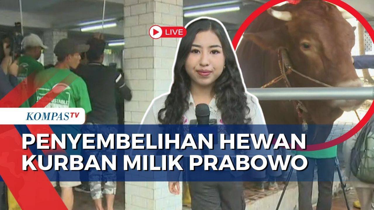 Terkini! Suasana Penyembelihan Hewan Kurban Milik Prabowo-Gibran di Masjid Istiqlal