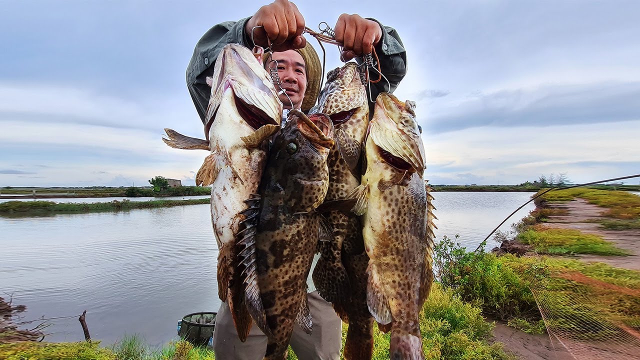 Kĩ Thuật: CÂU LURE KHÔNG 