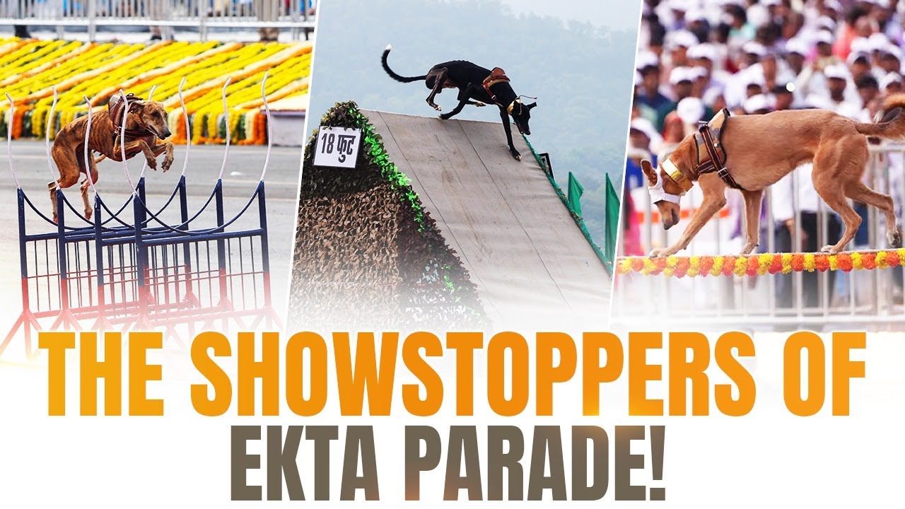 You’ll love watching this! Indian dog breeds steal the show at Rashtriya Ekta Diwas