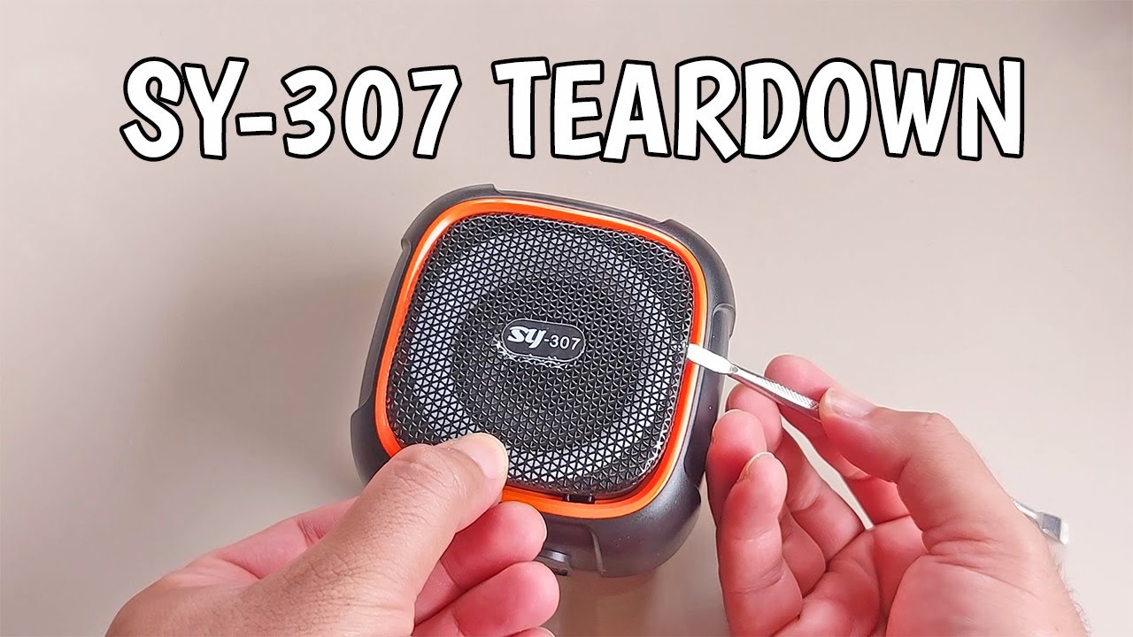 SY 307 Speaker TEARDOWN  - What's inside The Trending TikTok speaker of 2025