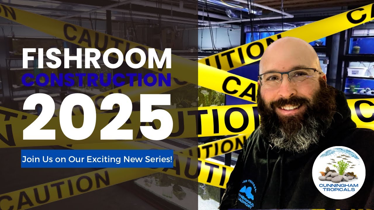 Cunningham Tropicals Fishroom Update 6-28-2025