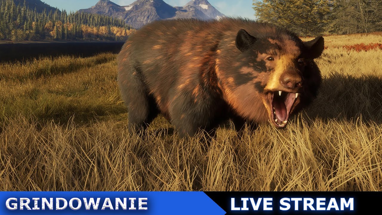🔴Wracam do miśków, bo chcę dużego | theHunter: Call of the Wild [Live]