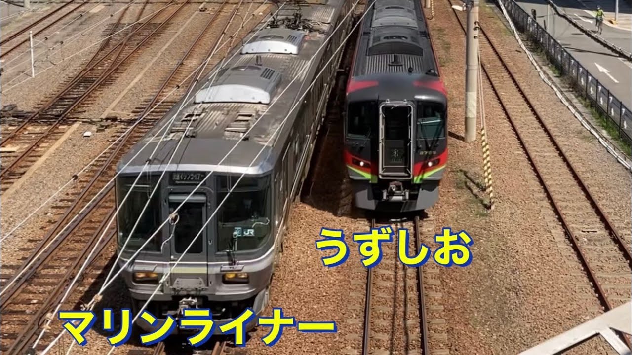 気動車特急が快速マリンライナーを引き離す