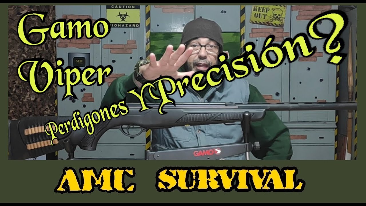 Gamo Viper Express Que Perdigones Acepta? Es Precisa?