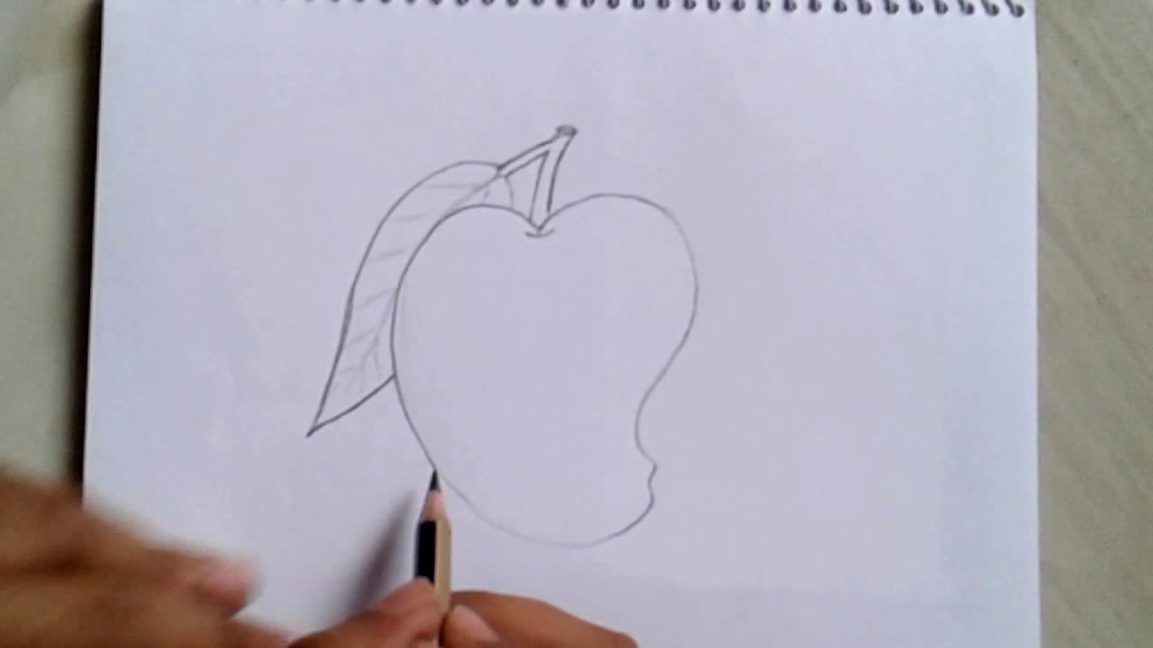 How to draw a MANGO/ pencil sketch/  mango art for beginners step by step