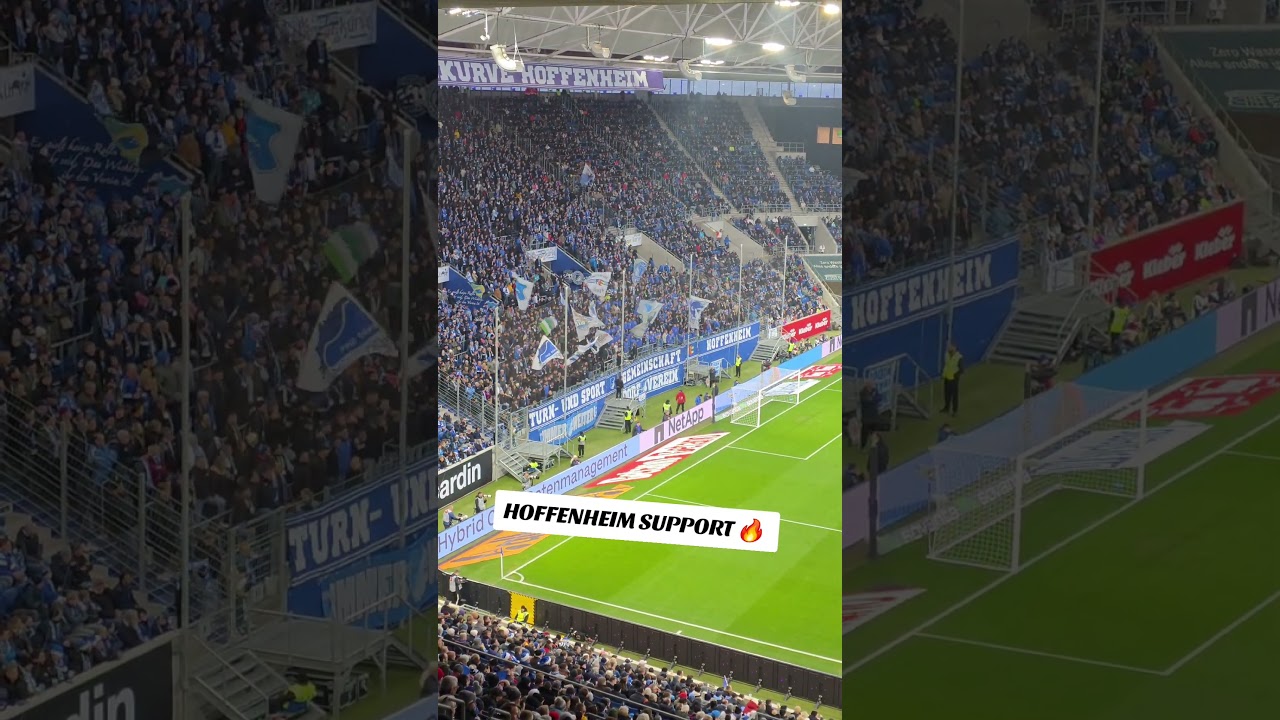 TSG Hoffenheim Fans 🔥