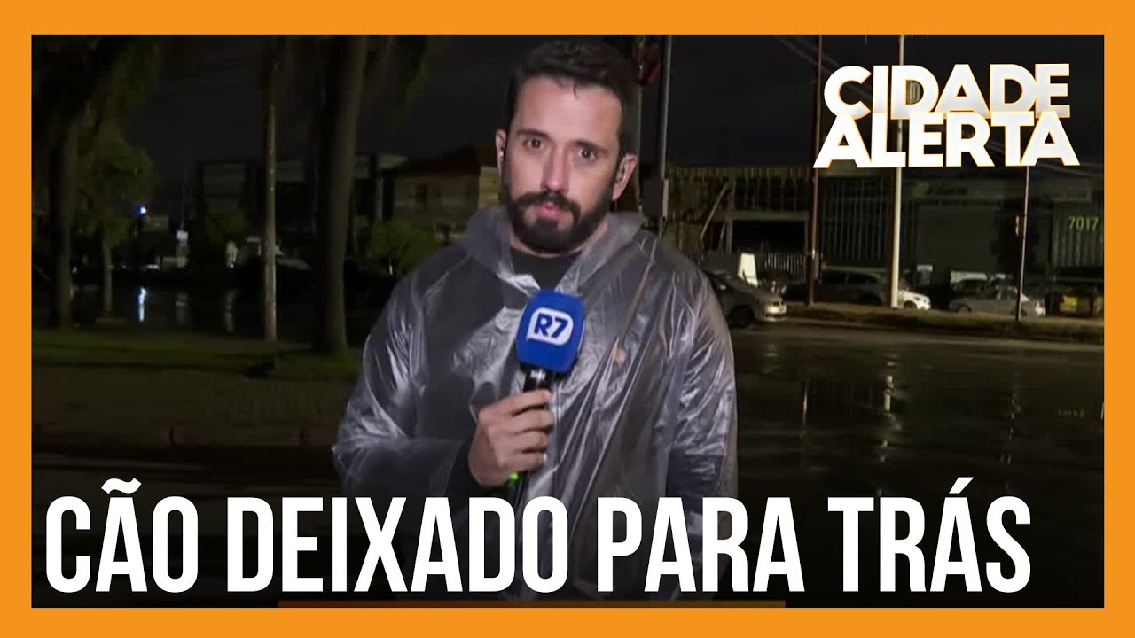 Morador do RS deixa cão em casa alagada e Bacci fica indignado