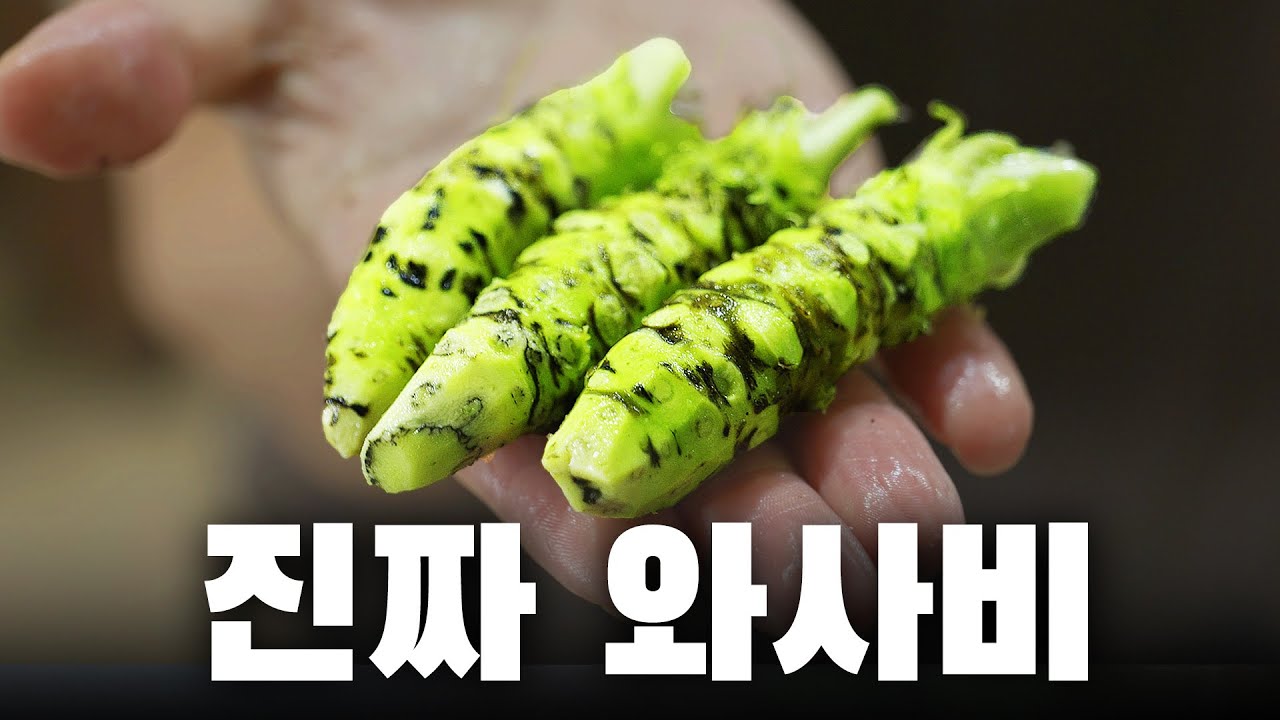 한국산 진짜 와사비의 맛은 어떨까? | 강원도 철원 명물 탐방기