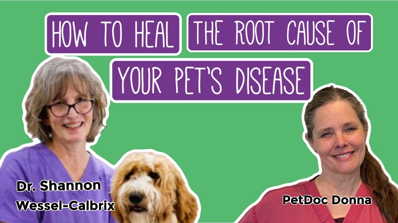 My CRAZY Coincidence at the AHVMA Conference! Food therapy podcast and animal welfare.