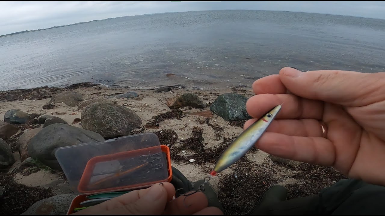 Limfjorden, hyggelig aften i juni