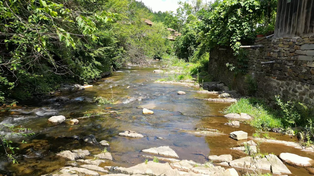 Стара река в Лопян - Stara Old river in Lopian