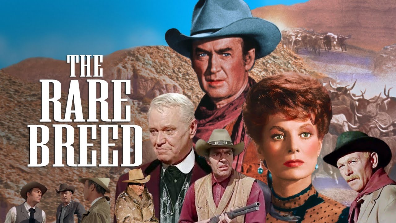 The Rare Breed (1966) Movie -James Stewart,Maureen O'Hara,Brian Keith | Facts & Reviews