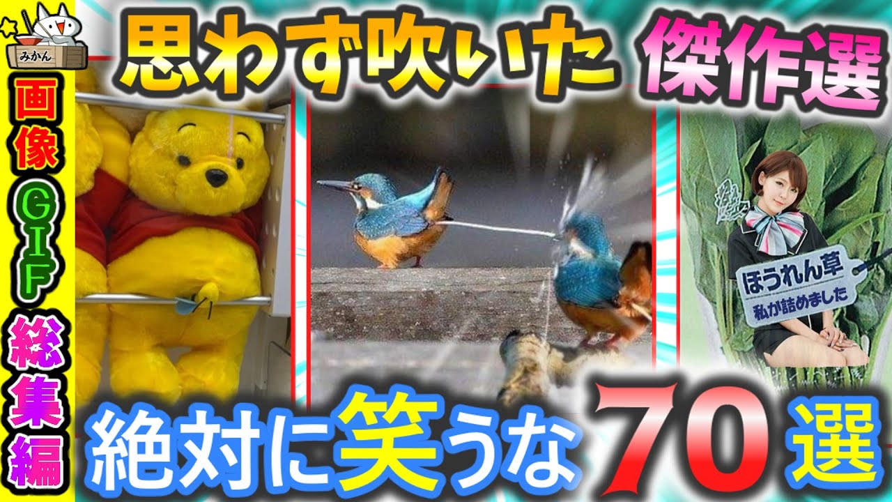 【傑作選】笑いすぎ注意！禁断の面白画像70選【2ch】