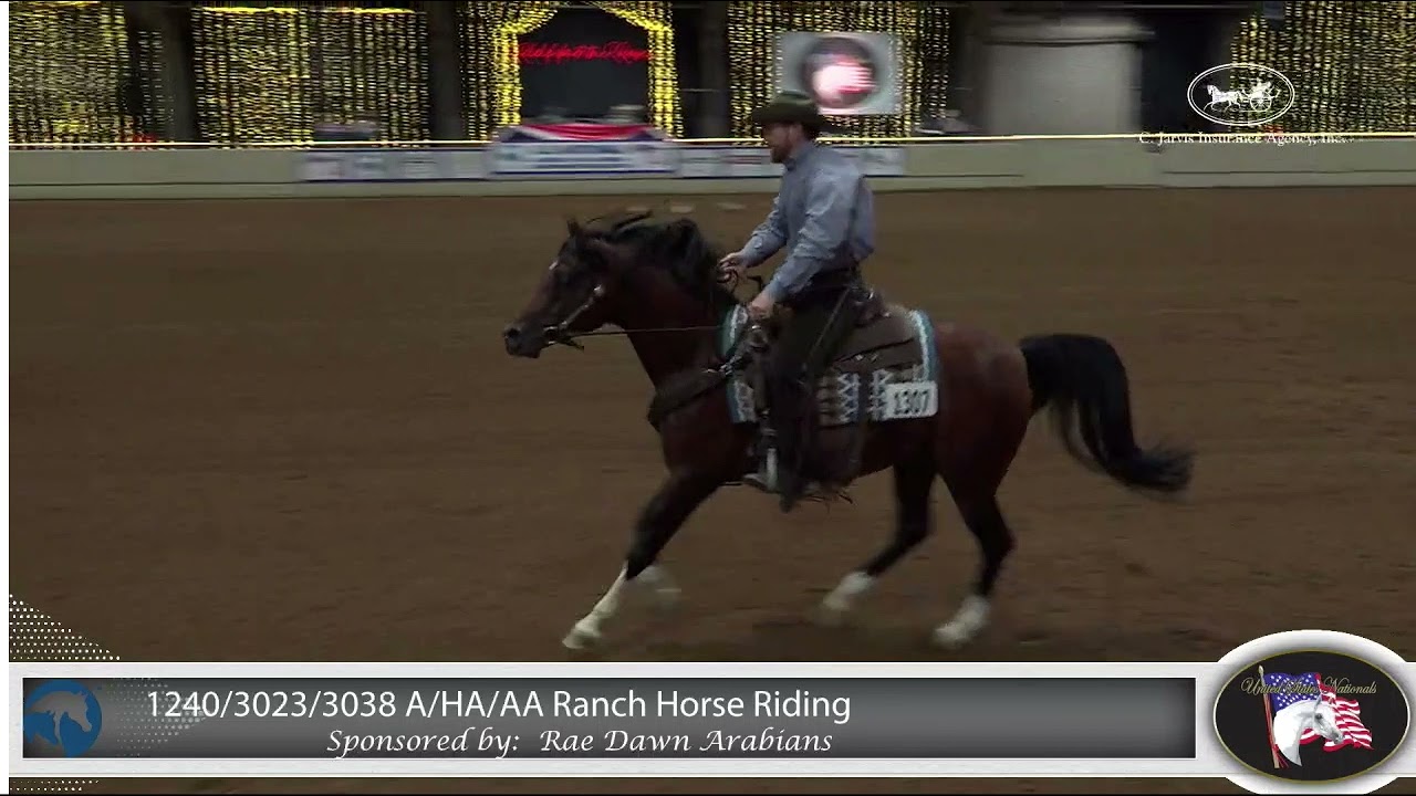 SH Noble Venture | Ranch Riding Arabian U.S. Nationals | Nathan Kent Performance Horses