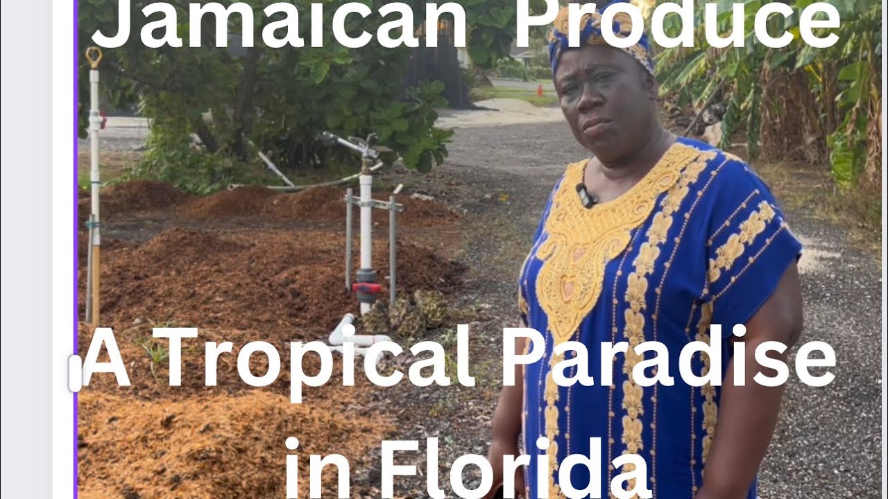 Jamaican Produce : A Tropical Paradise in Florida